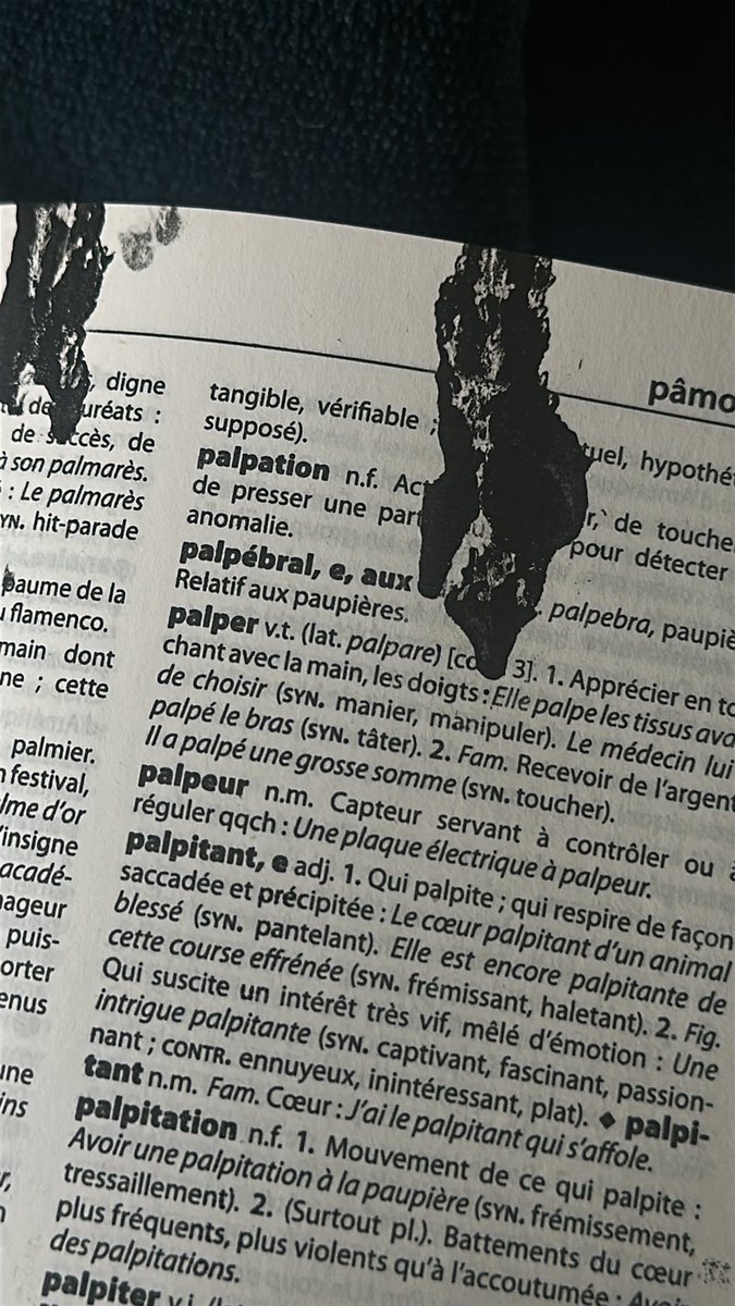 Thomabruti tweet media