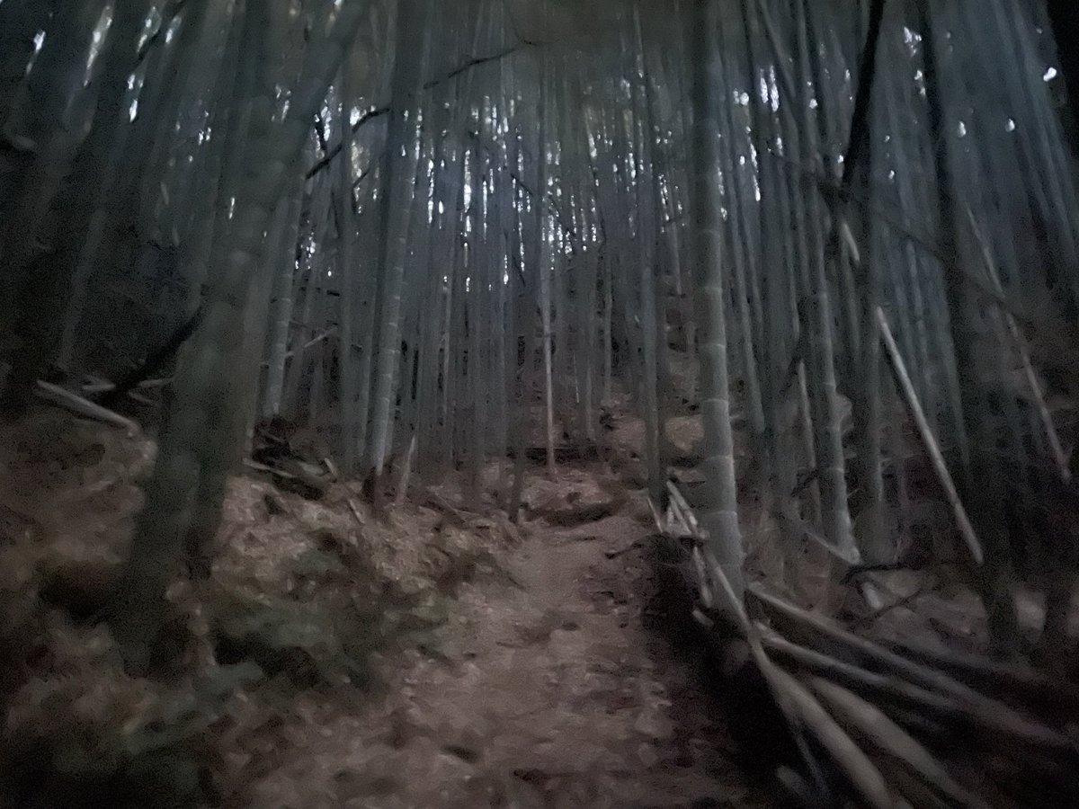 teshi27's tweet photo. 町並み歩きに行く前に、薄暗くなってきた鎮海山��跡にも https://t.co/OLWGuvFQfO