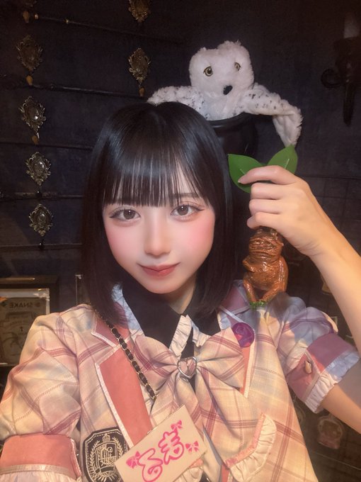 ヴォラビス魔法学校のツイート