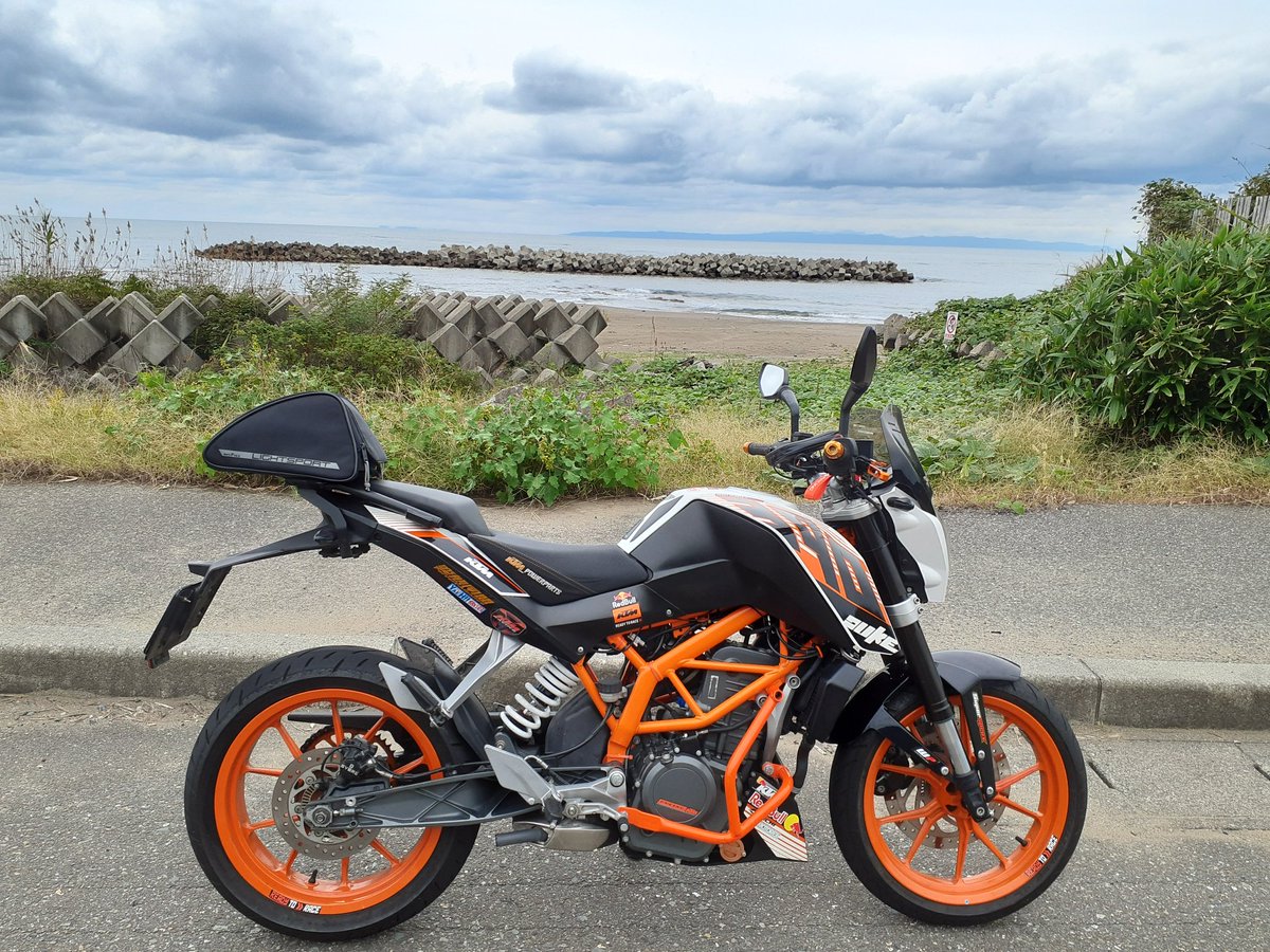 やっち ZX8000_black_GG_monogram_0041.jpg