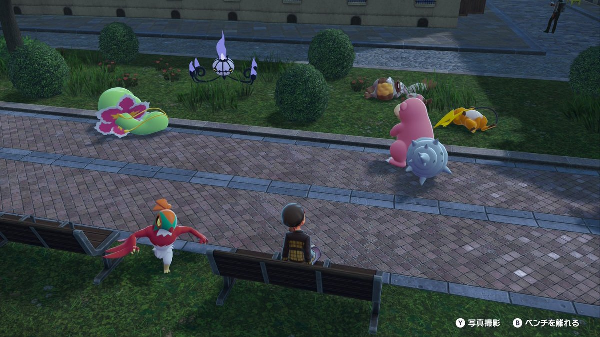 猫屋敷のぽんず tweet media