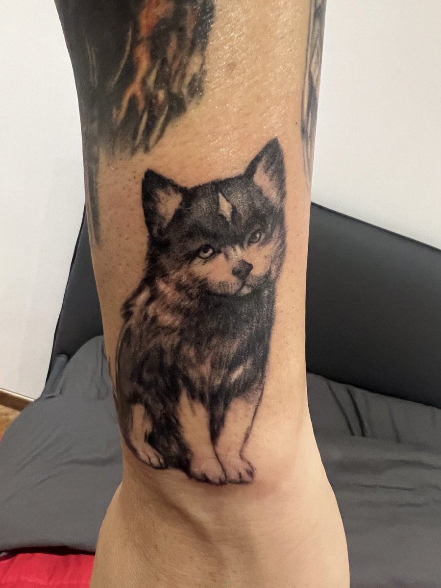 Finally my #FinalFantasyXVI arm has got the main character 🫡 #FF16 #Torgal <a href="/finalfantasyxvi/">FINAL FANTASY XVI</a>