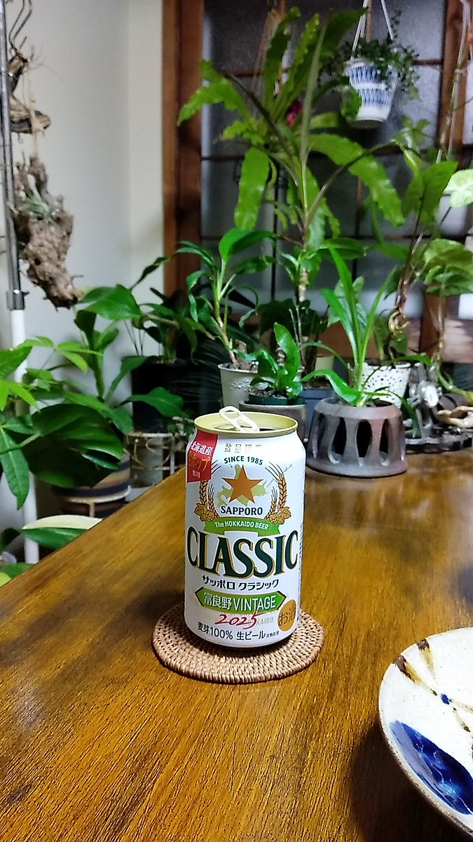 ☆うさぎページです☆ 白うさぎ on X