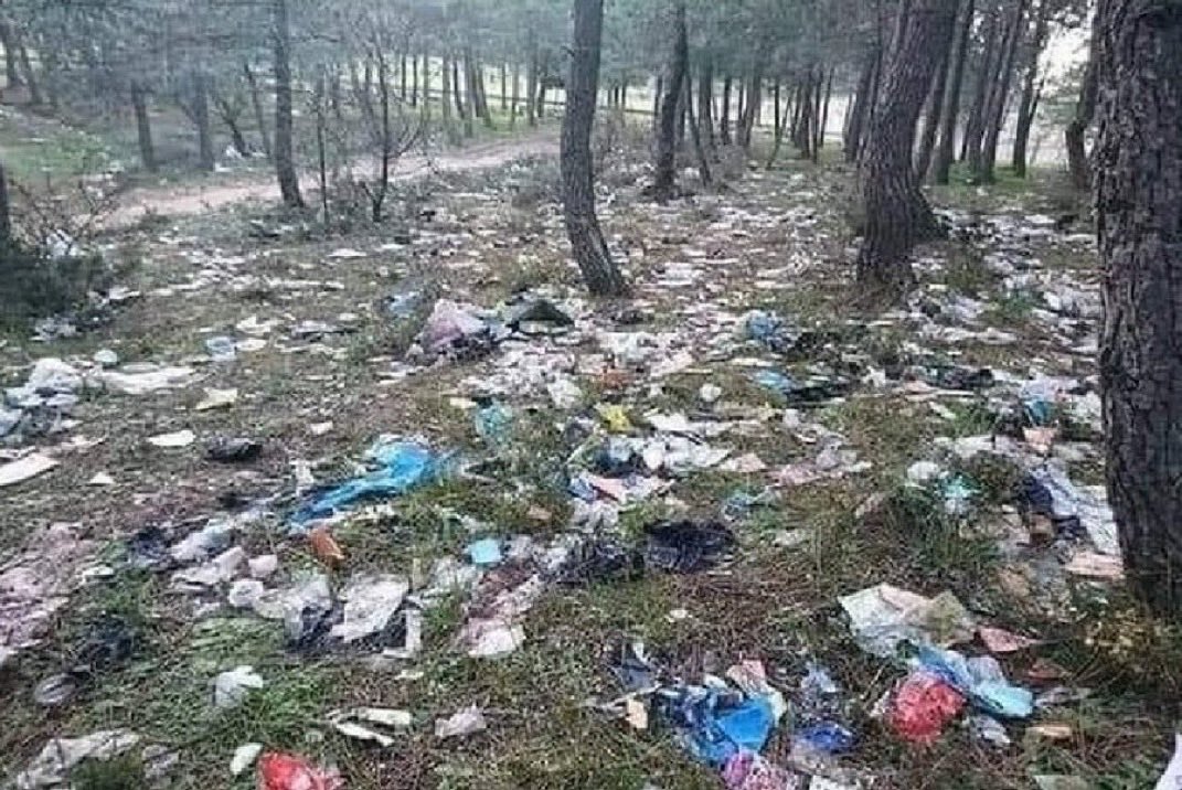 İt  sürüsü geçmiş dedim ..
Sonra itlerden özür diledim ..