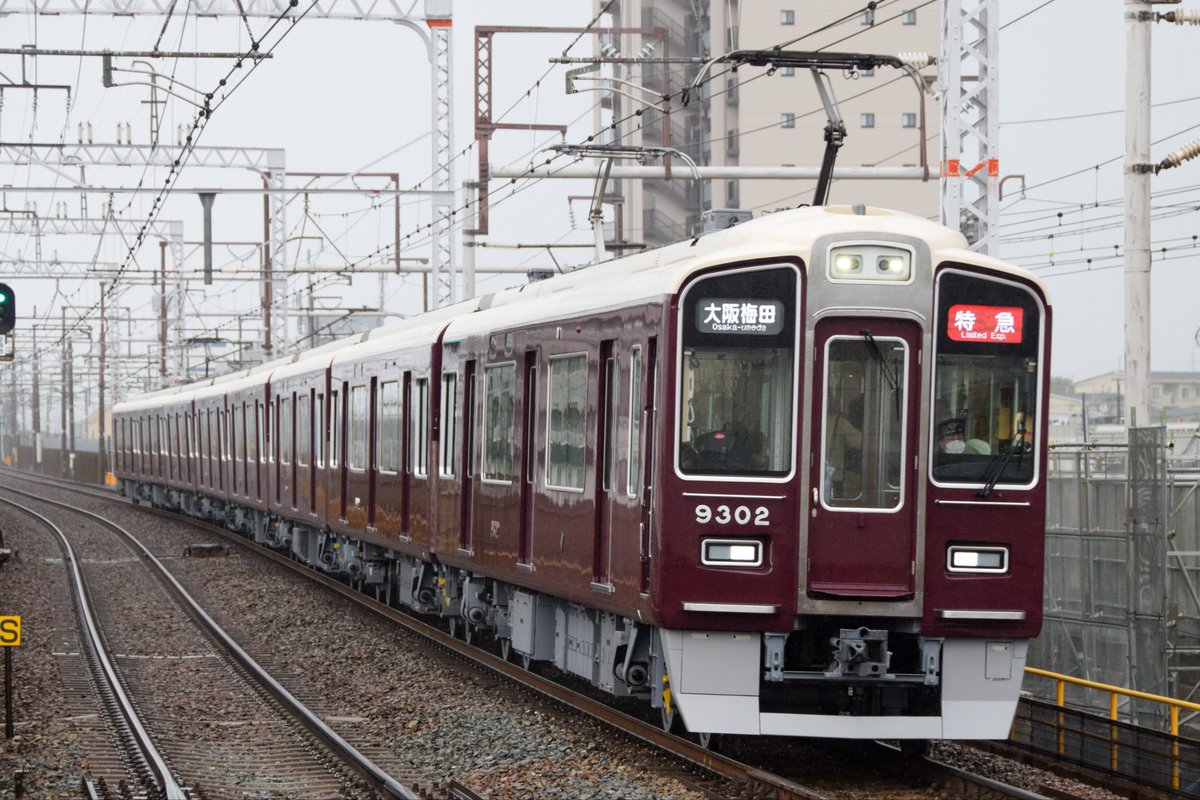 トリ・ムネニク (@momoniku_a4) / Posts / X