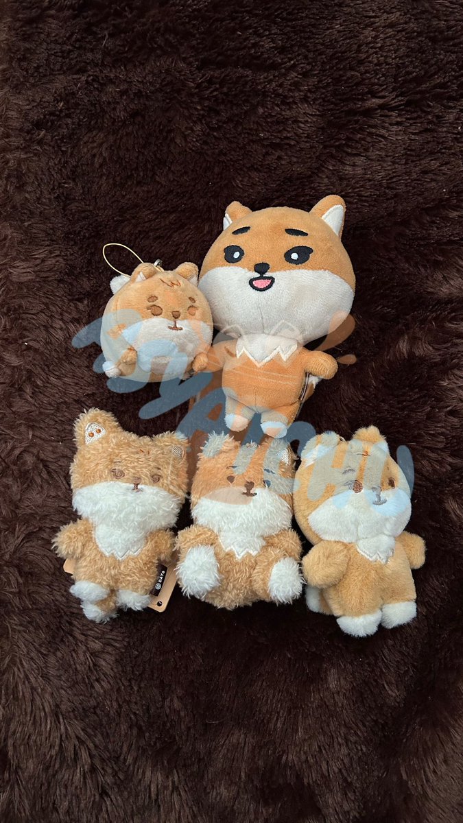 _asyatchu's tweet image. #Wtsday6

Hallo aku mau menjual beberapa  koleksi aku, bisa dikirim pakai 🍊

Kalau ada yang tertarik, hmu

Btw ini belum semua aku fotoin