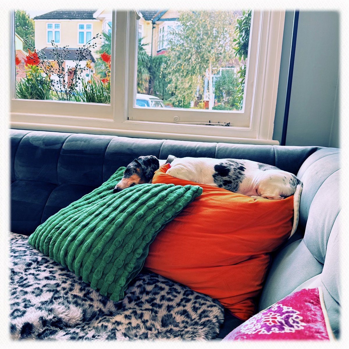 Alright there… 🤣