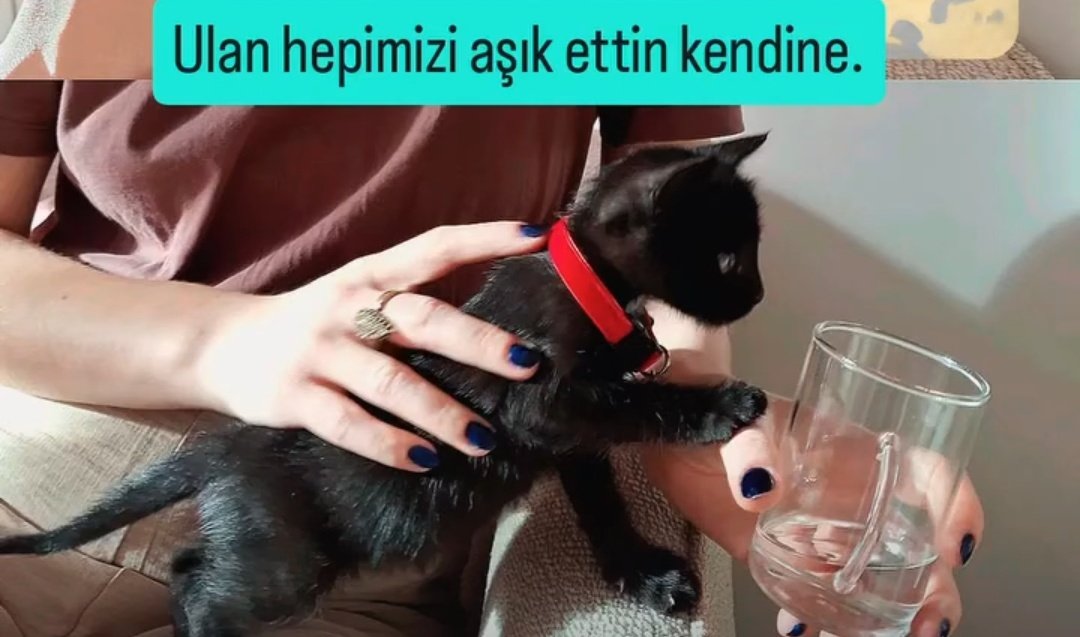 Aslında. (@ardicbenimevim) on Twitter photo 