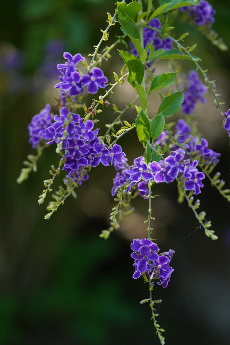 jerritama's tweet image. 