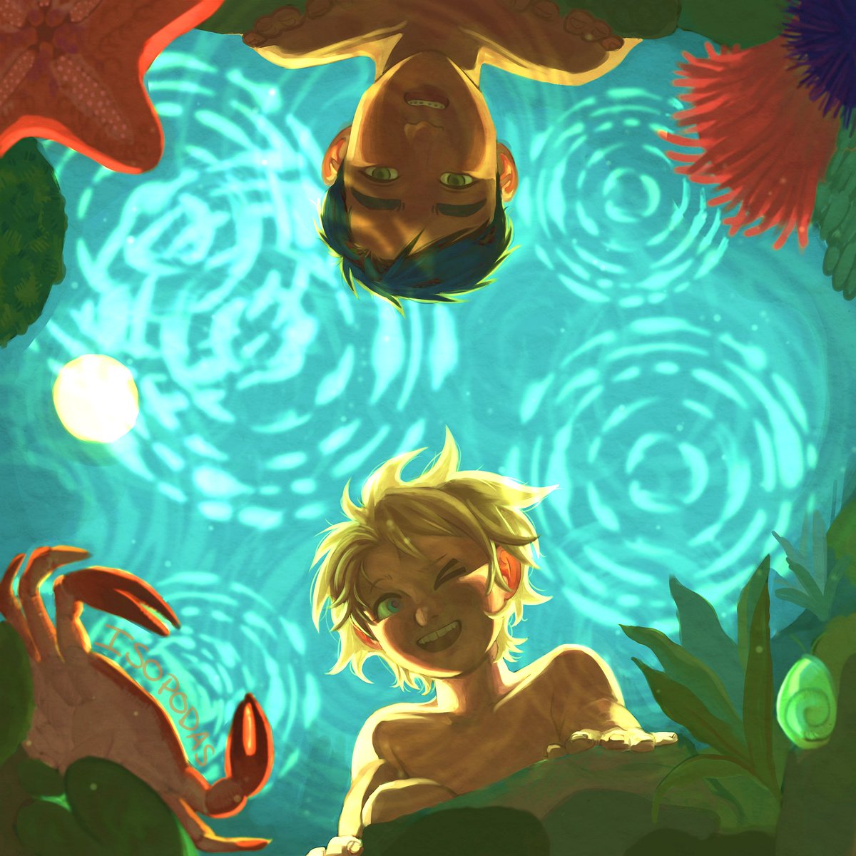 CREEK TIDEPOOL #sptwt #spcreek