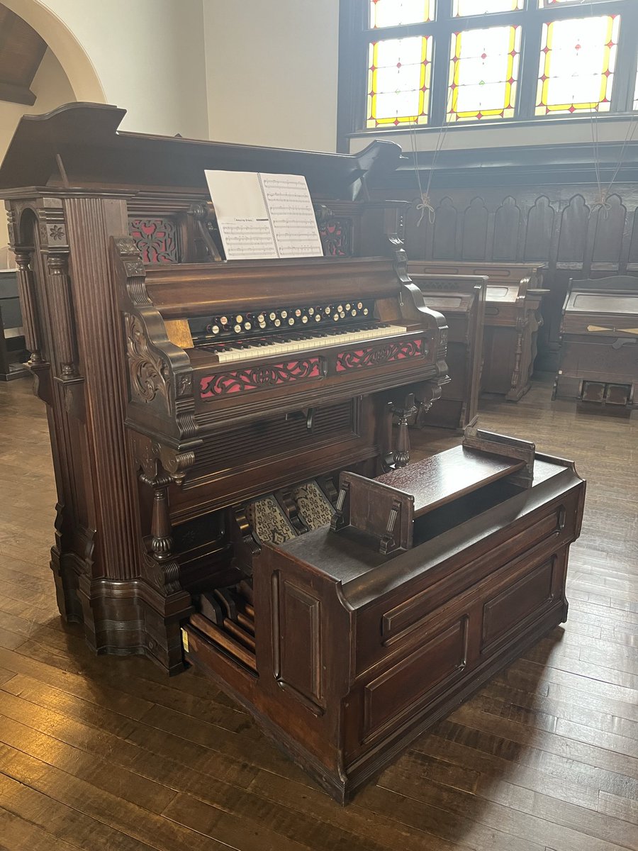 たんぽぽ様 Amazon | Sanko 三晃商会 SANKO デリスタイル タンポポ&セージ