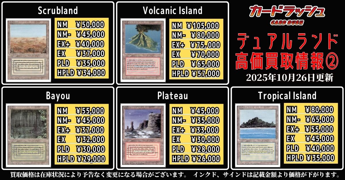 ○【貴重】【やや擦れアリ】 Scrubland 2ED 英語1枚 ○【貴重