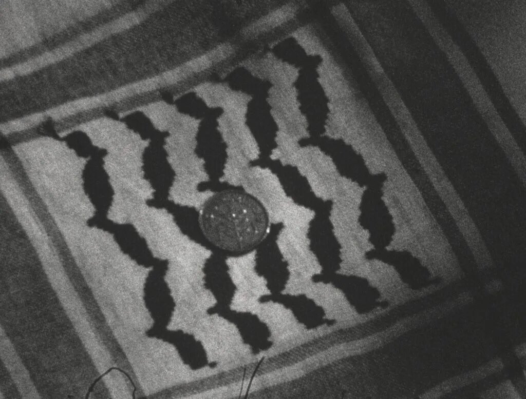 Opencolour's tweet image. “…to engage with the physical ‘denkmal’ plaques that commemorate a history that Germany paradoxically seeks to erase while purporting to serve it…” (@Maxwolf333 on The City and Her Stones)

THE CITY AND HER STONES screening 
Sun 2nd Nov, 5pm, @cowleyclub