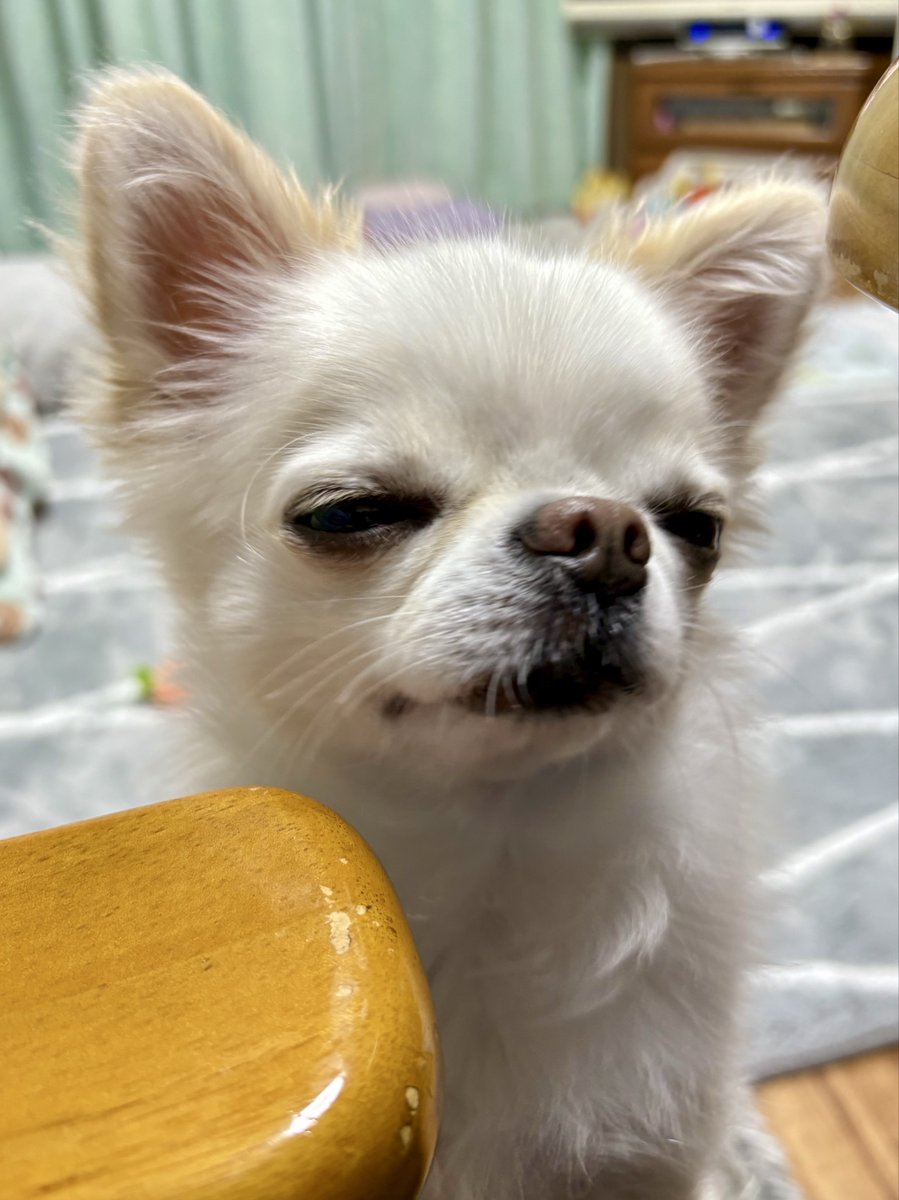 Takuma (@evlz2619) / Posts / X