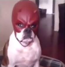 How yanks in the replies feel saying “that’s just a leisurely day trip for us Americans”