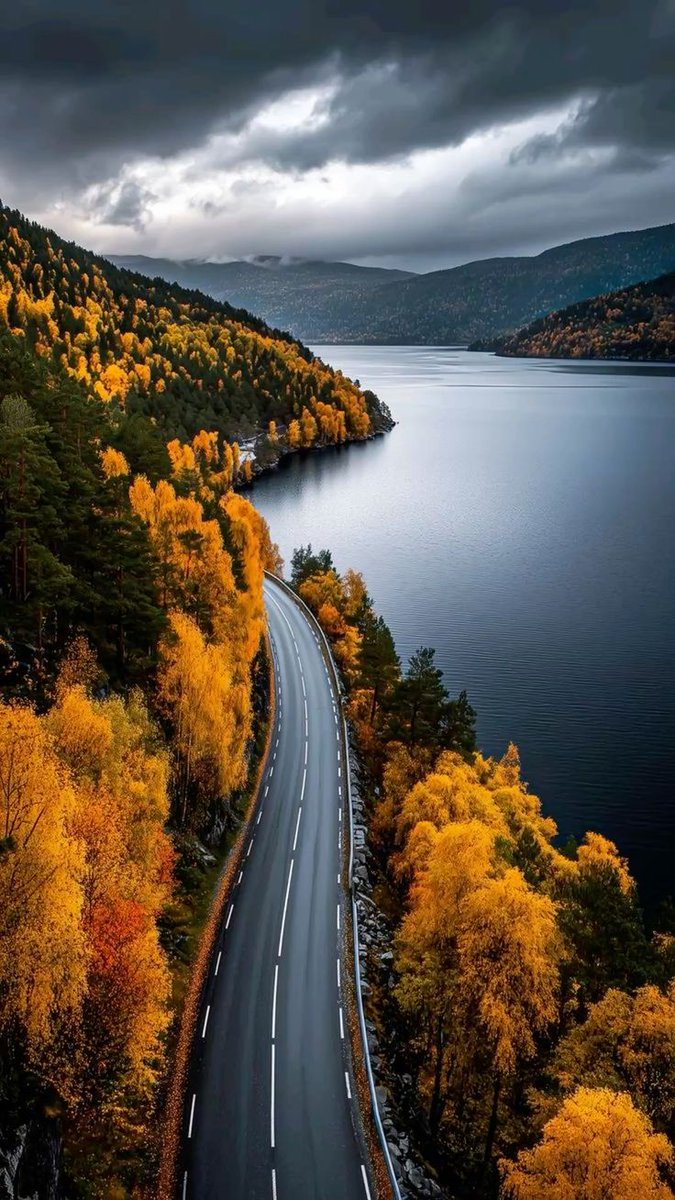 SAGE🌿 (@sagy720) on Twitter photo 