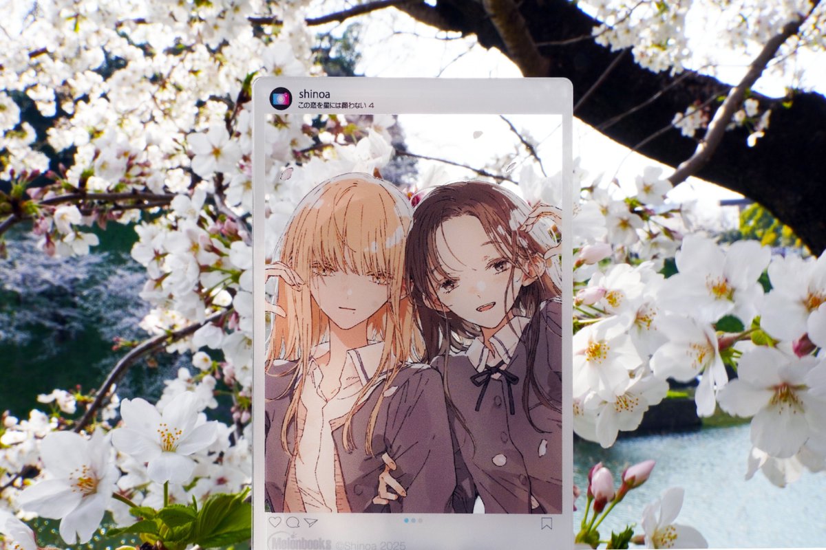 この恋を星には願わない公式 ◇4巻発売中◇ (@koinega_info) / Posts / X