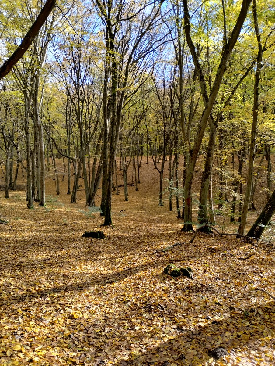 Radosław Palmowski tweet media