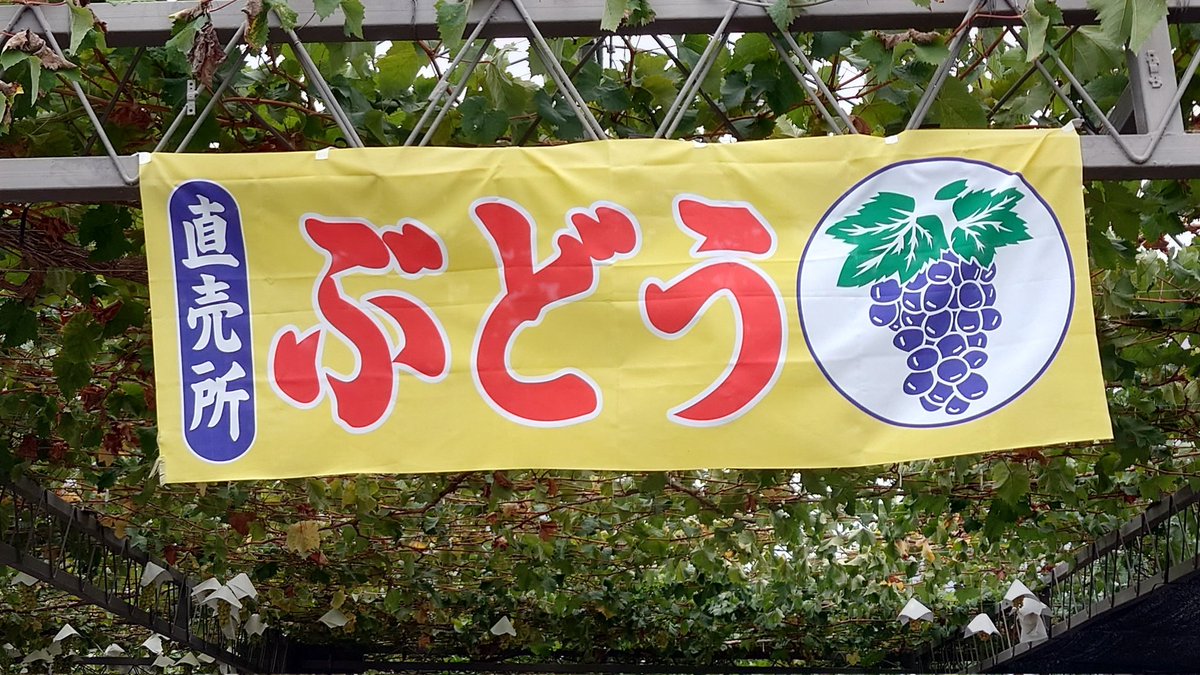 葡萄の壺 ISUZU VC46 6UZ1 Oil Pump 976075860 8-97607586-0 - FOR ISUZU