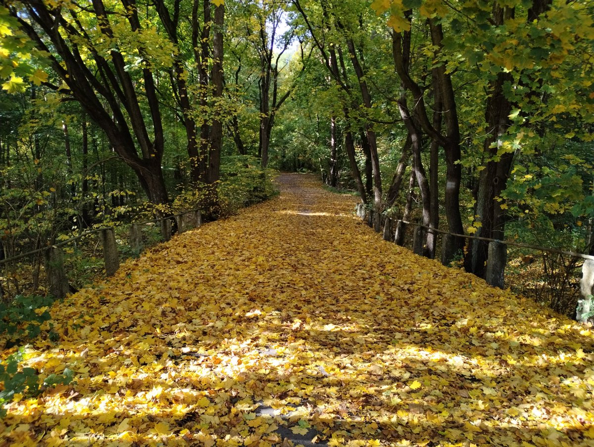 Radosław Palmowski tweet media