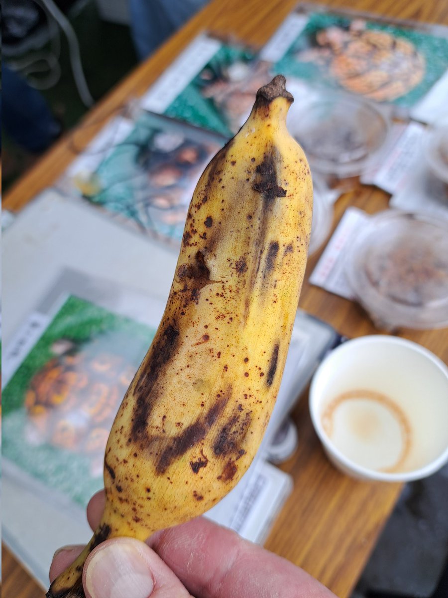 TBM本当に、楽しいイベントでした✨️