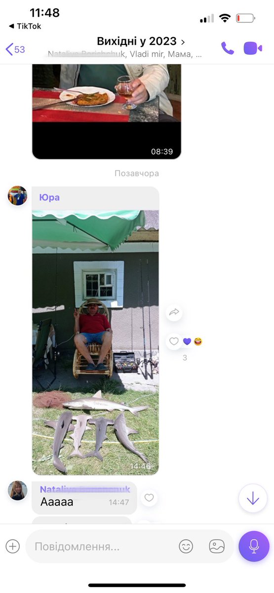 в сімʼї відбулась технологічна революція. мама кожного дня переписується з чат гпт, а батя генерує собі УЛОВ