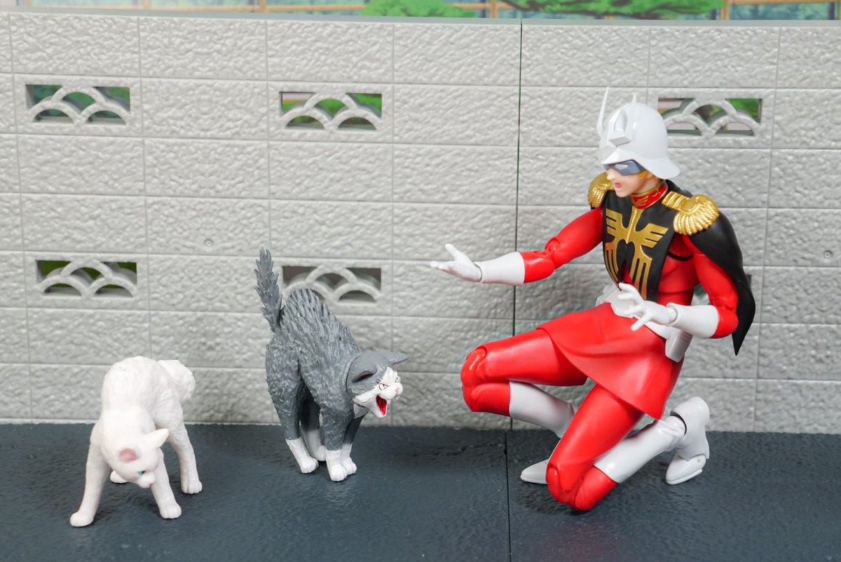 シャーされるシャア