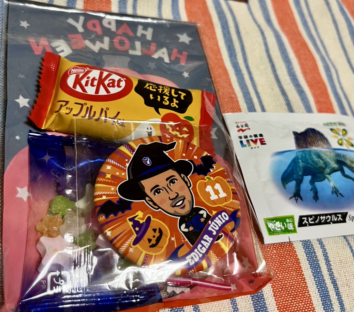 ✱*✱様 ❤️沢山プクプク新芽❤️☘️スペシャル☘️1348⭐️極上⭐️極上発色 あつあげvvnvlc on X