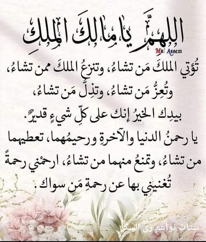 Amira Youssef (@amirayouss13682) on Twitter photo 