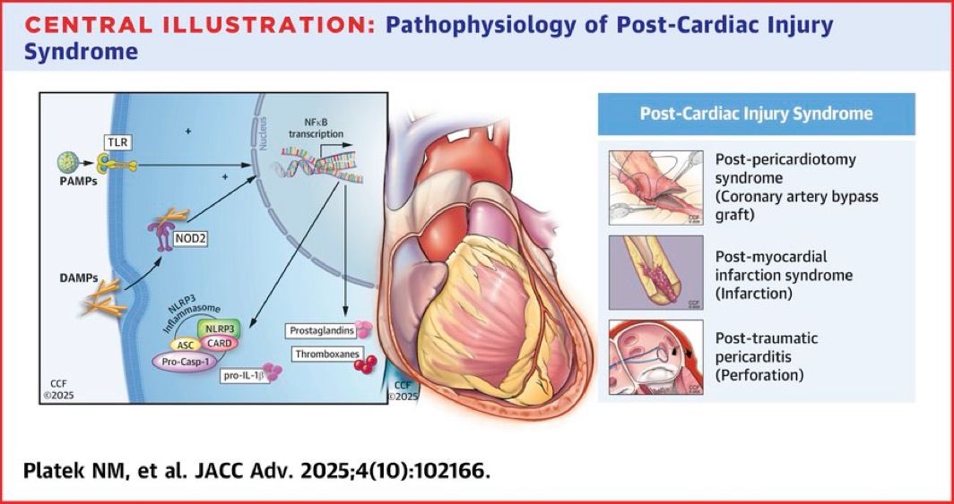 Ahmed Bennis MD 🫀 tweet media