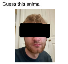 bella (@gamblefold) on Twitter photo 