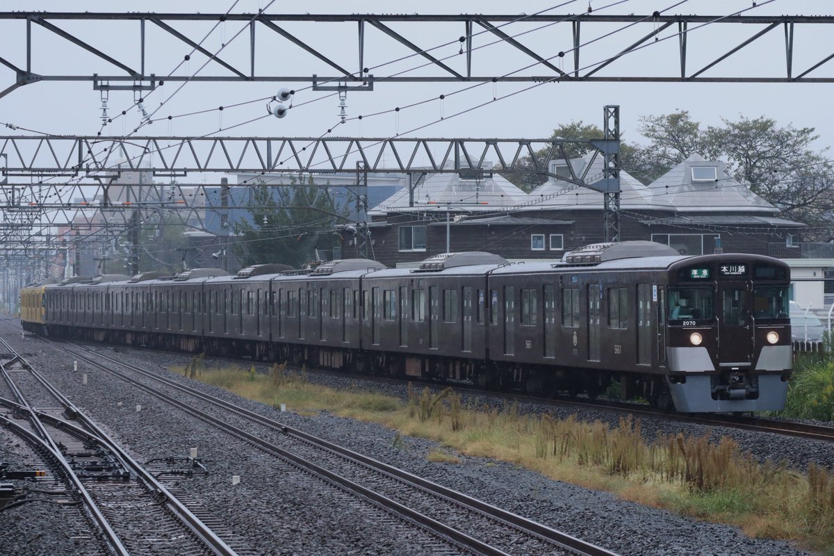 ちょこばなこ めめこ on X