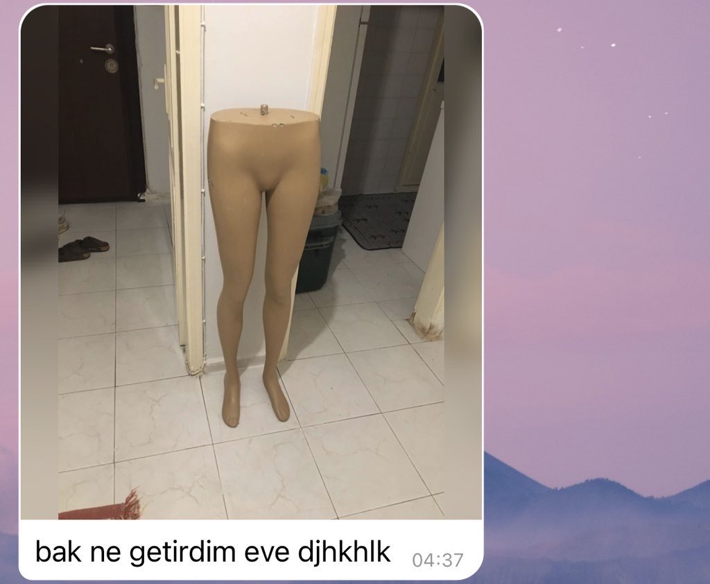 stella süpernova tweet media