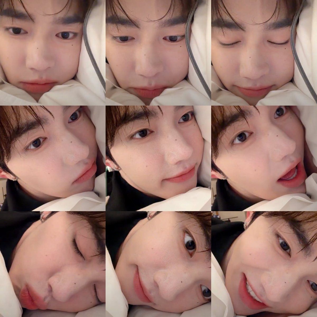 haoscan's tweet image. ∧,,,∧
(  ̳• · • ̳)
/    づ♡