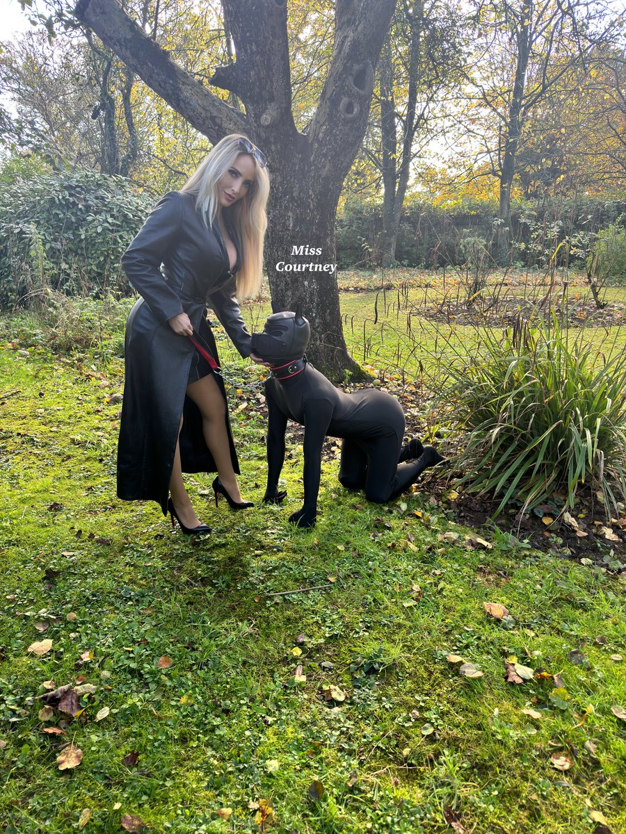 𝔹𝕠𝕪 tweet media