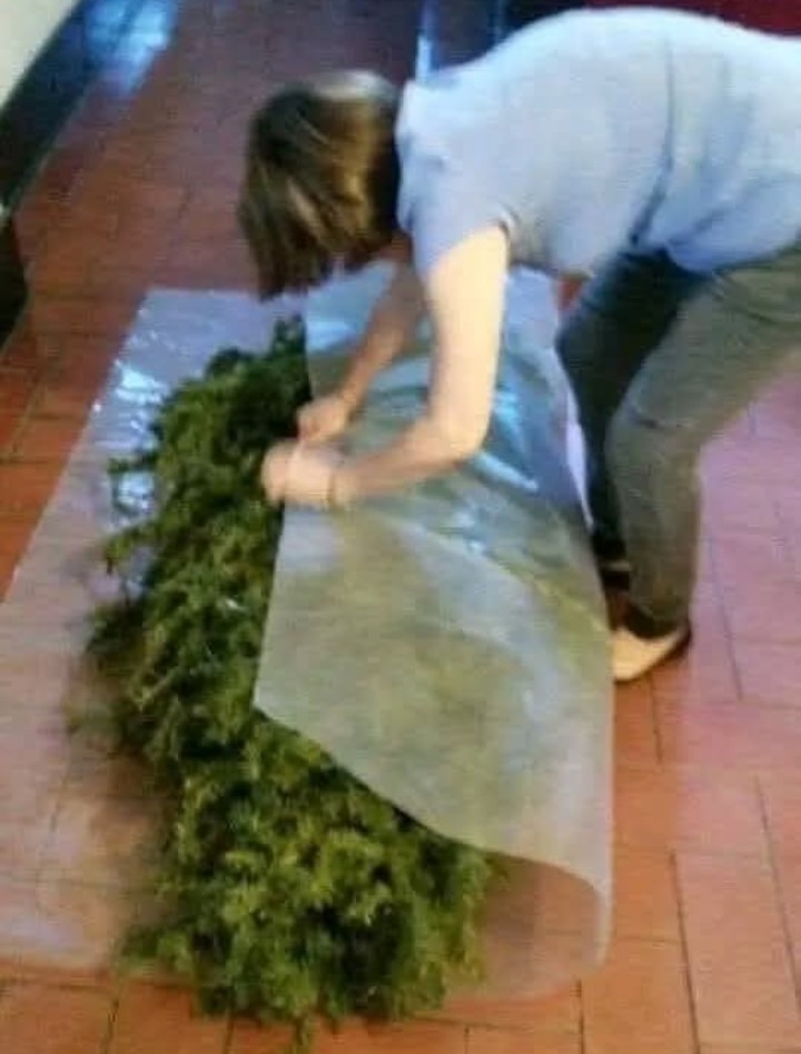 Let's roll a joint😅🤙