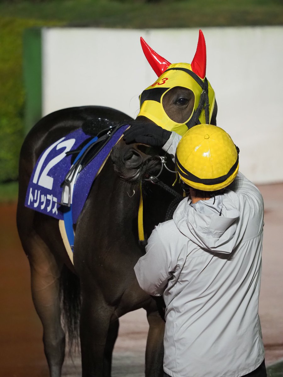 新品☆ライスフォース◡̈* ライスサワー on X