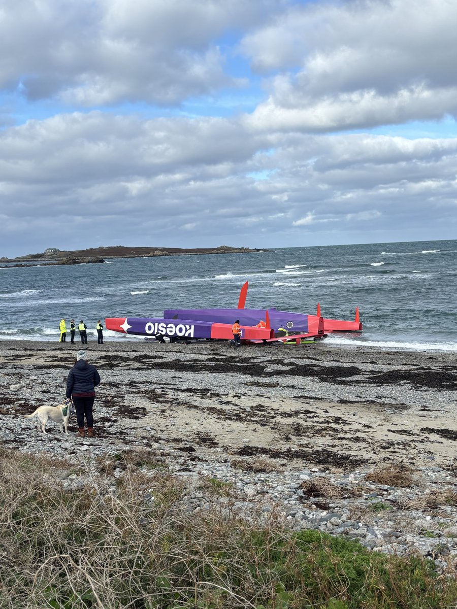 Mark Coutanche tweet media