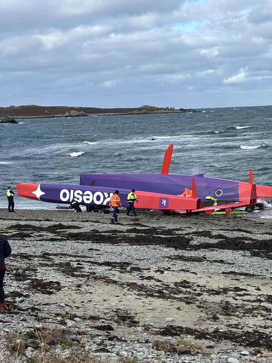 Mark Coutanche tweet media