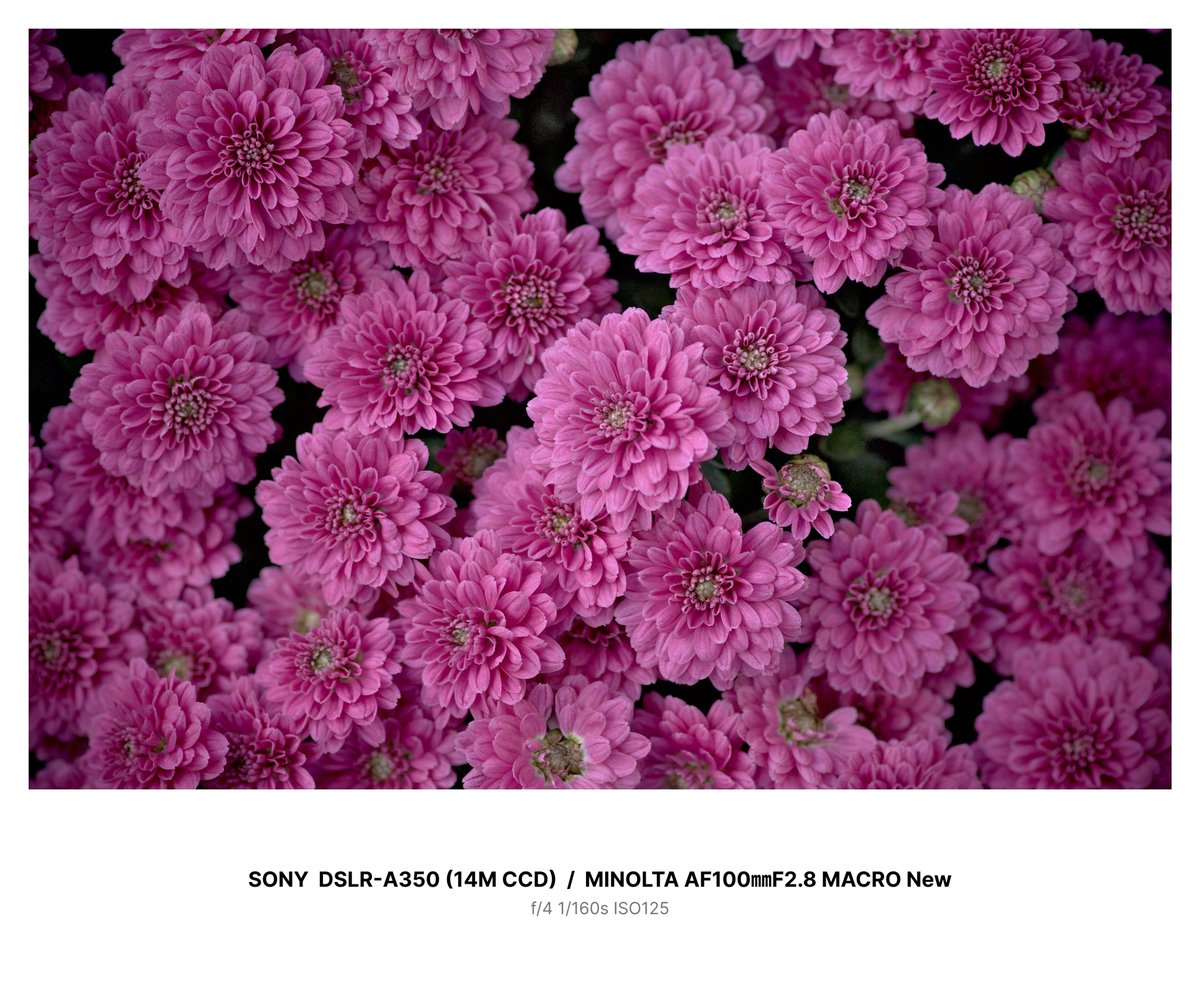 AFG(アンファング) on X