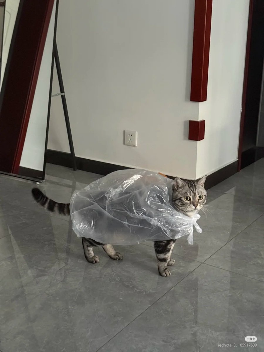 Supermeow