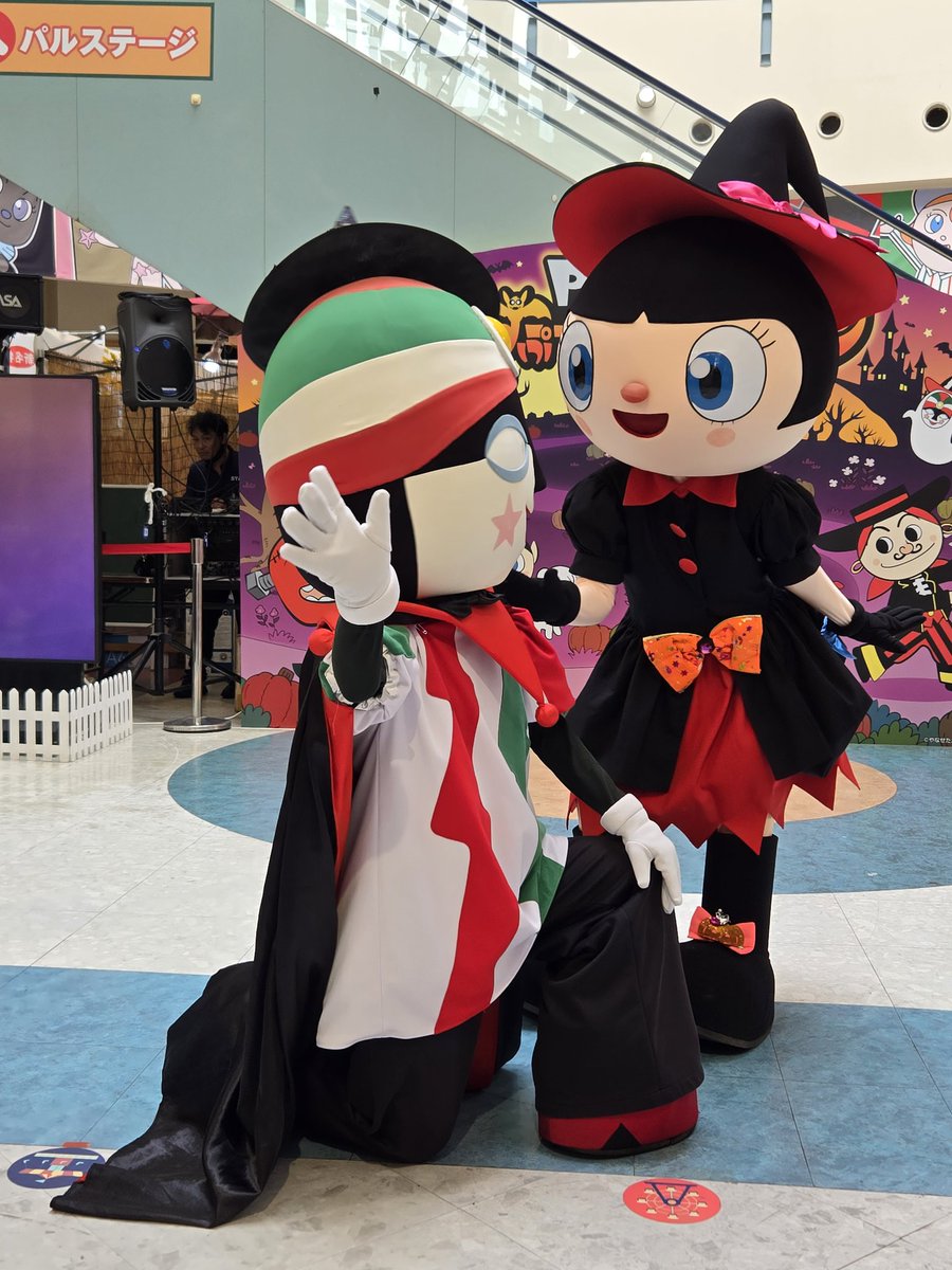 紫苑ページ 紫苑@Tzion on X