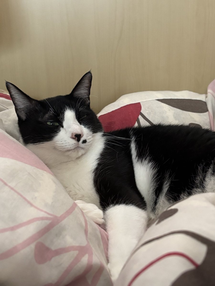 neve (@neve832225) / Posts / X