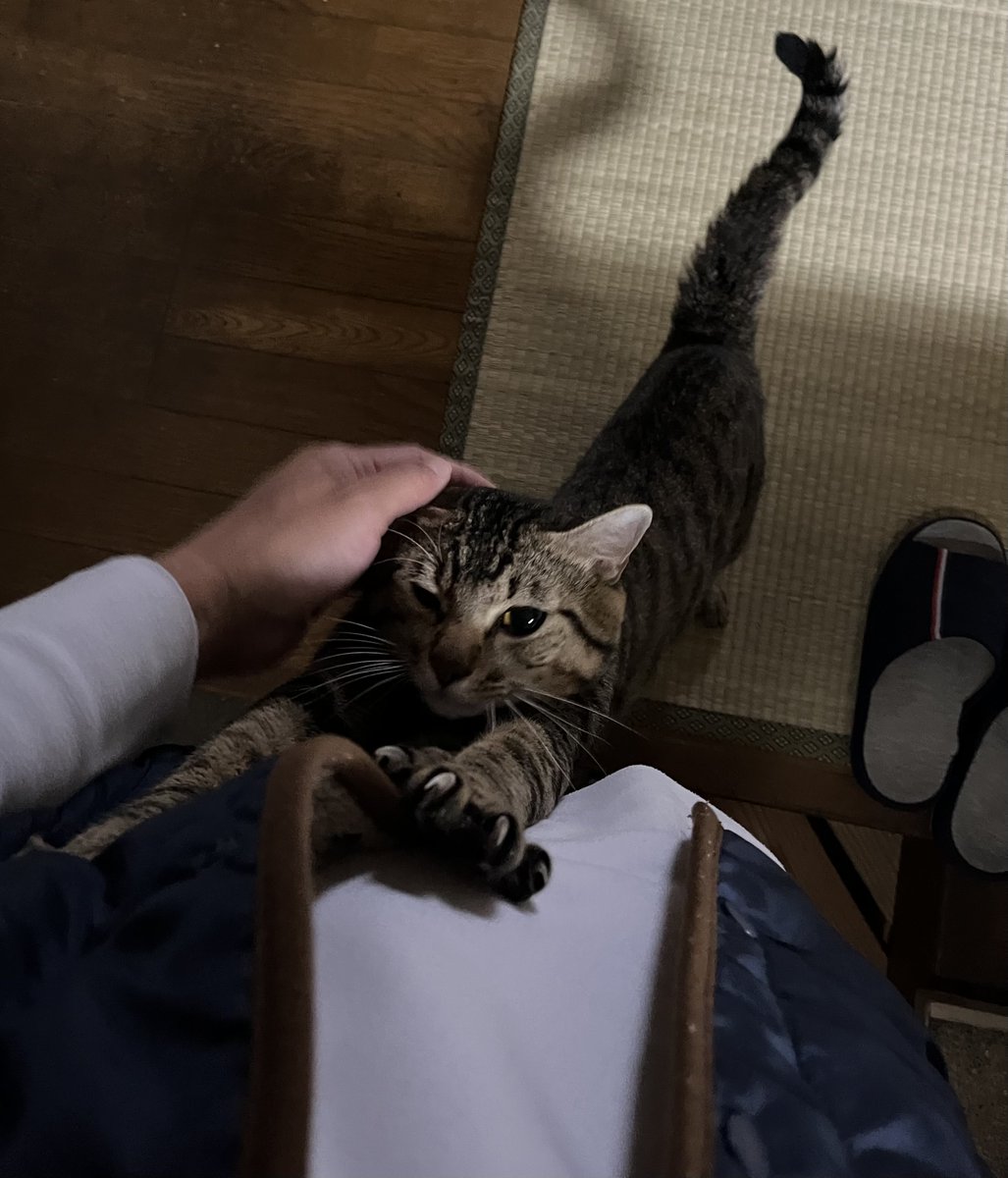 リリノンページ リミットレス - オフセットヨーヨー ┃ ヨーヨー専門店リワインド