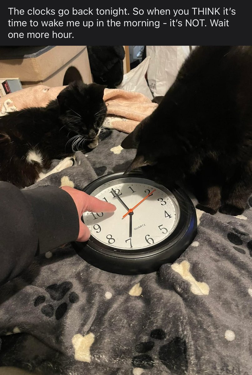 Seragee1's tweet photo. @Number10cat Didn’t work. https://t.co/xpX8gLThPh