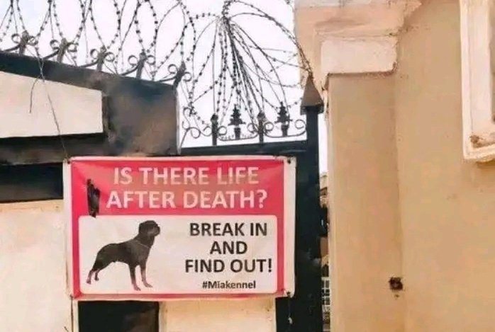 Betmasterchamp's tweet image. BW1BE25F8E   48 ODDS
BW1BE29B99  10 ODDS
BW1BF29F89    9 ODDS
BW1BF9DE40   10 ODDS
BW1BBFDCBF5  11 ODDS
BW1BFE826E.    29 ODDZ

Well analyzed ndalama ilipo apa just like yesterday @BetwayMalawi @CXris241 @Deus87877007 @Phoso10 @MERCHANT @GwambaOfficial @Nangwizo @IKamanga12949