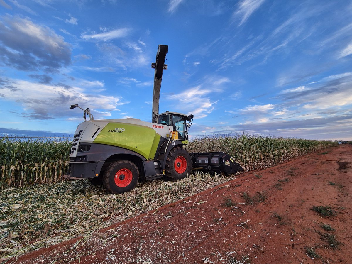 Benomills's tweet photo. Kimberly earlage harvest 25 done and dusted massive effort by the team. https://t.co/4Qzp9DGYyT