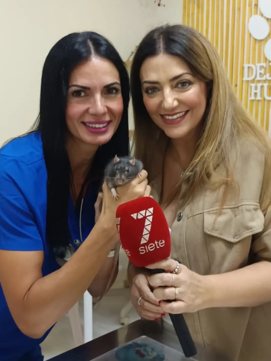 ♥️ 📺 Hoy, a las 11:30, en <a href="/7TVAndalucia/">7TV Andalucía</a>

🐾 Huella Animal 

🐍🐀🦔 En este programa hablaremos sobre animales exóticos 

😉 ¡No os lo perdáis!
#HuellaAnimal #HuellaAnimal2