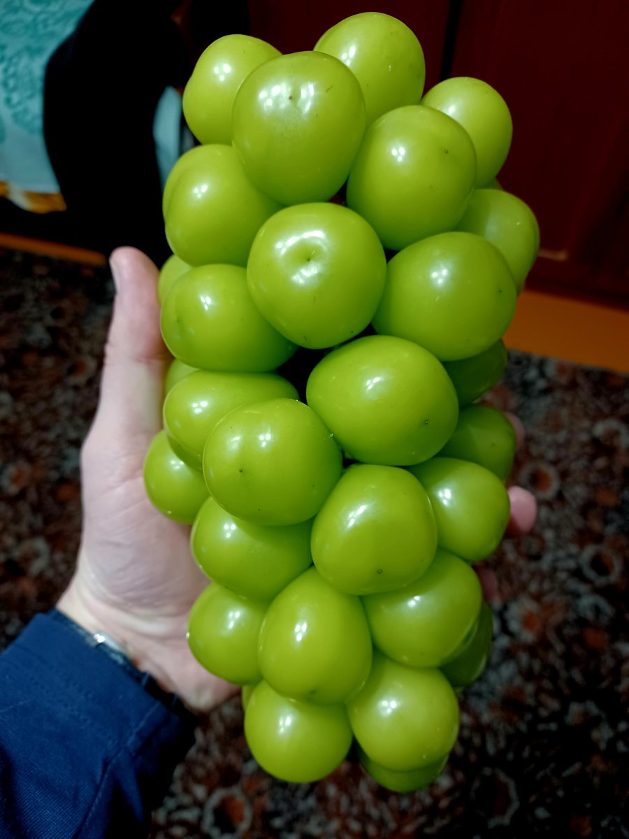 Alex Deibert tweet media