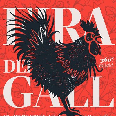 Olga Cuesta tweet media